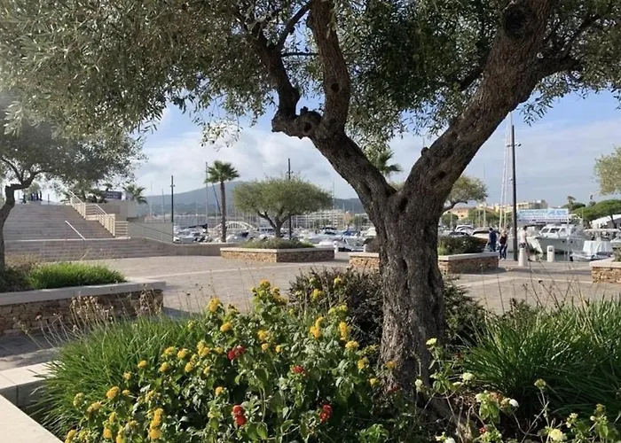 Mazet Renove A Ste-maxime, 3 Pieces, 6 Couchages, Centre-ville, A 500m - Fr-1-226-517 בית נופש *