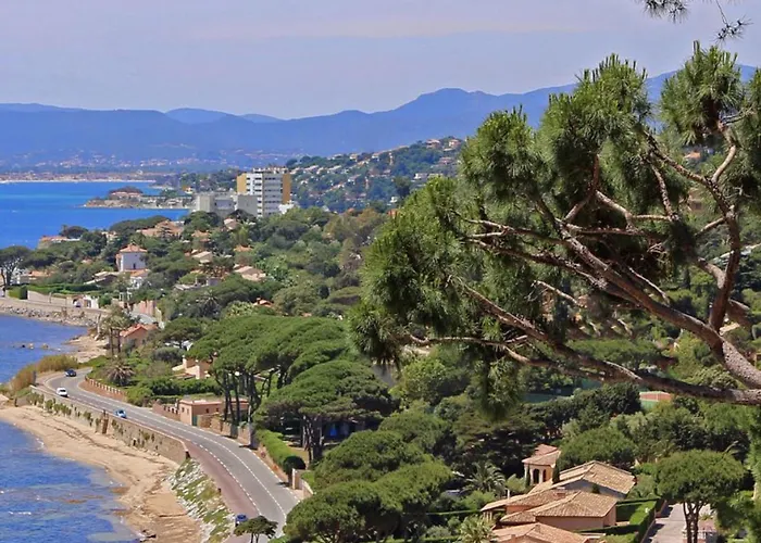 Mazet Renove A Ste-maxime, 3 Pieces, 6 Couchages, Centre-ville, A 500m - Fr-1-226-517 *